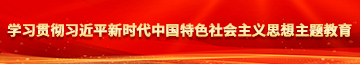 插美女逼的视频免费看学习贯彻习近平新时代中国特色社会主义思想主题教育